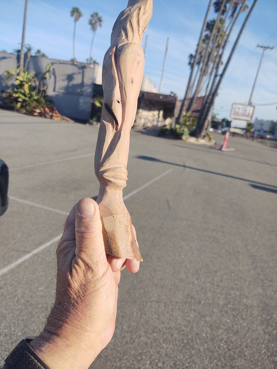 Strawberry Madrona 12.4.22