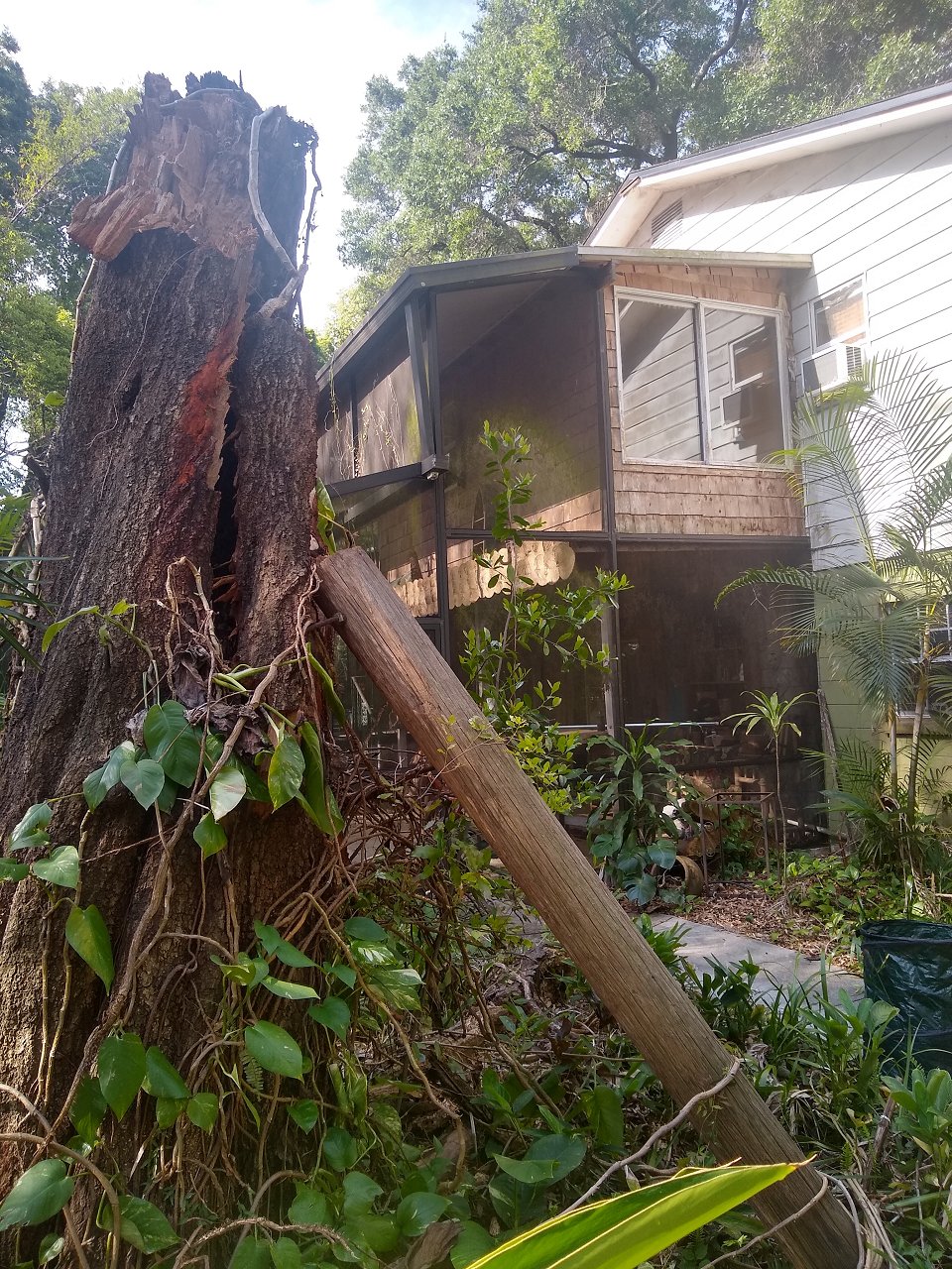 IMG_20220413_100453578_HDR