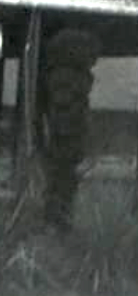 Screen Shot 2021-11-10 at 9.53.38 PM