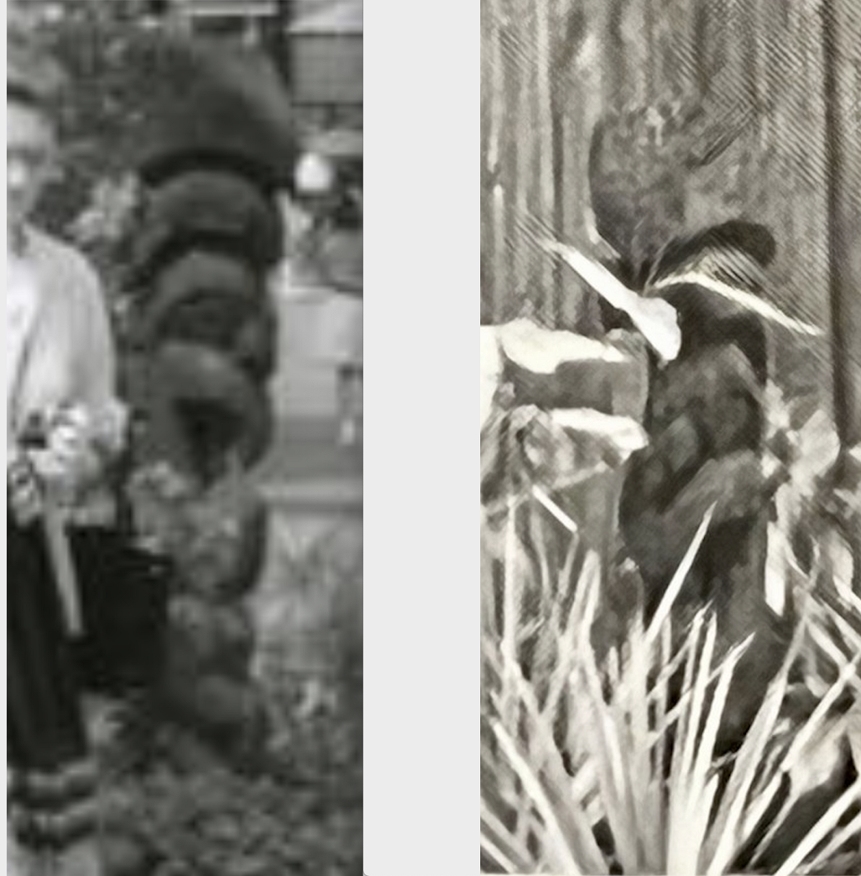 Screen Shot 2023-09-04 at 1.38.37 PM