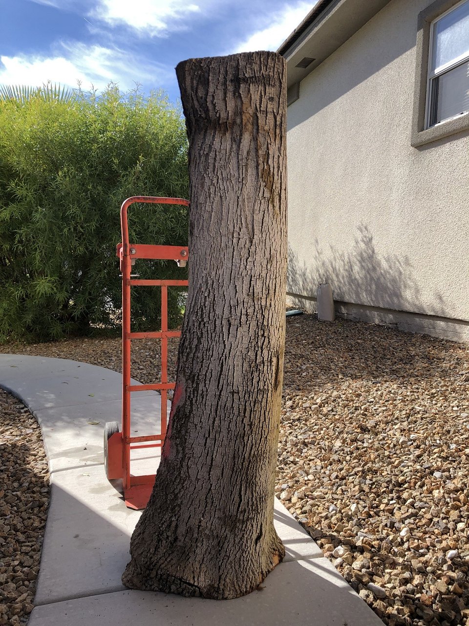 CEE6BAE7-9B8B-49BA-9952-BB07B08D99B8