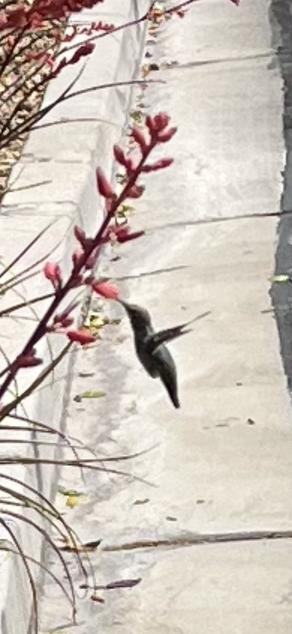 7B83500C-A013-46F6-8033-51FC058F7D69