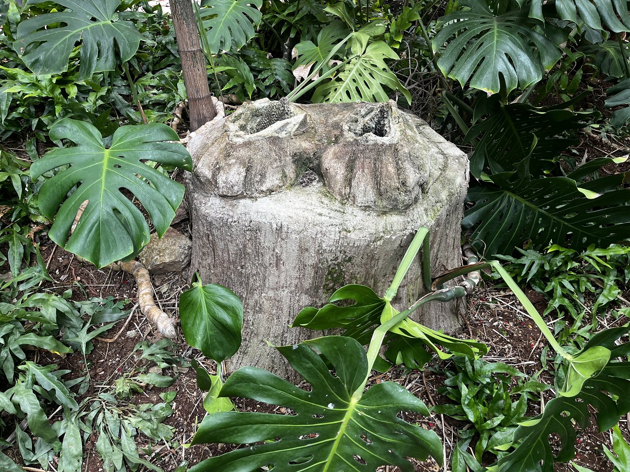 8ACF249C-A23B-4DC8-97CD-8B4B37DC001C