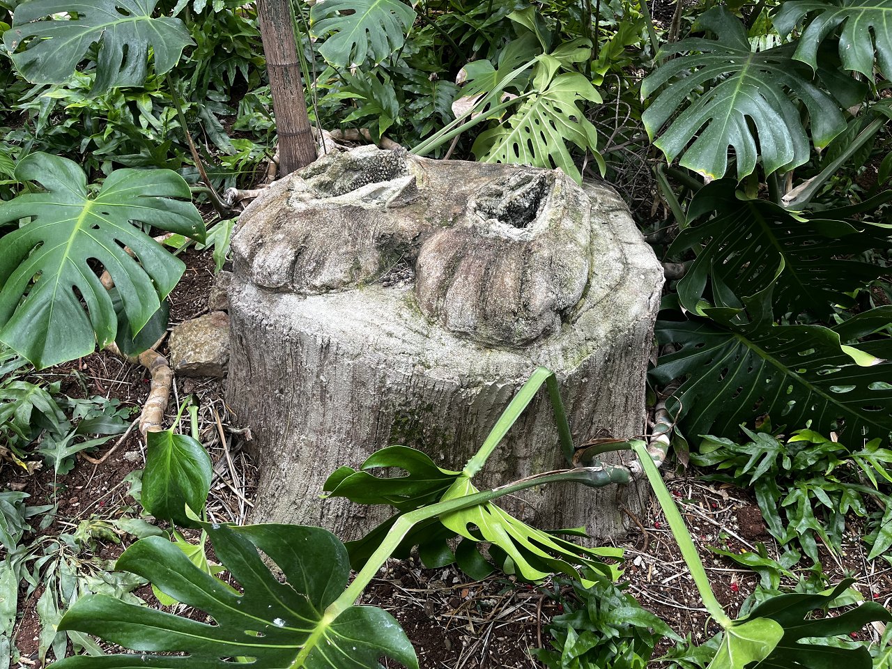 8DF045BE-7CE1-4F72-A1E1-7E1FC3F784FA