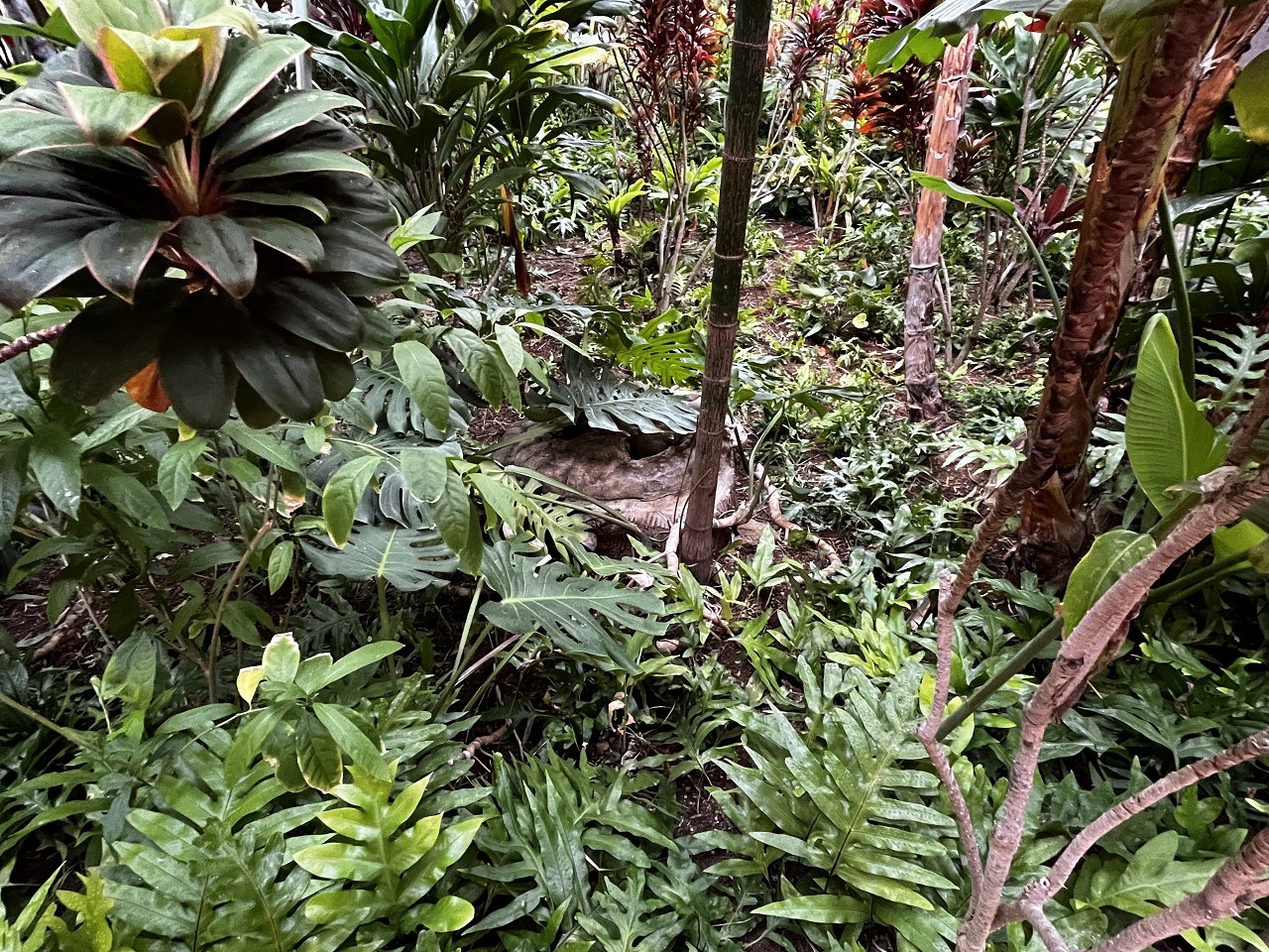 33E8F249-3F7A-4995-9712-2FC0B1CE5B7B