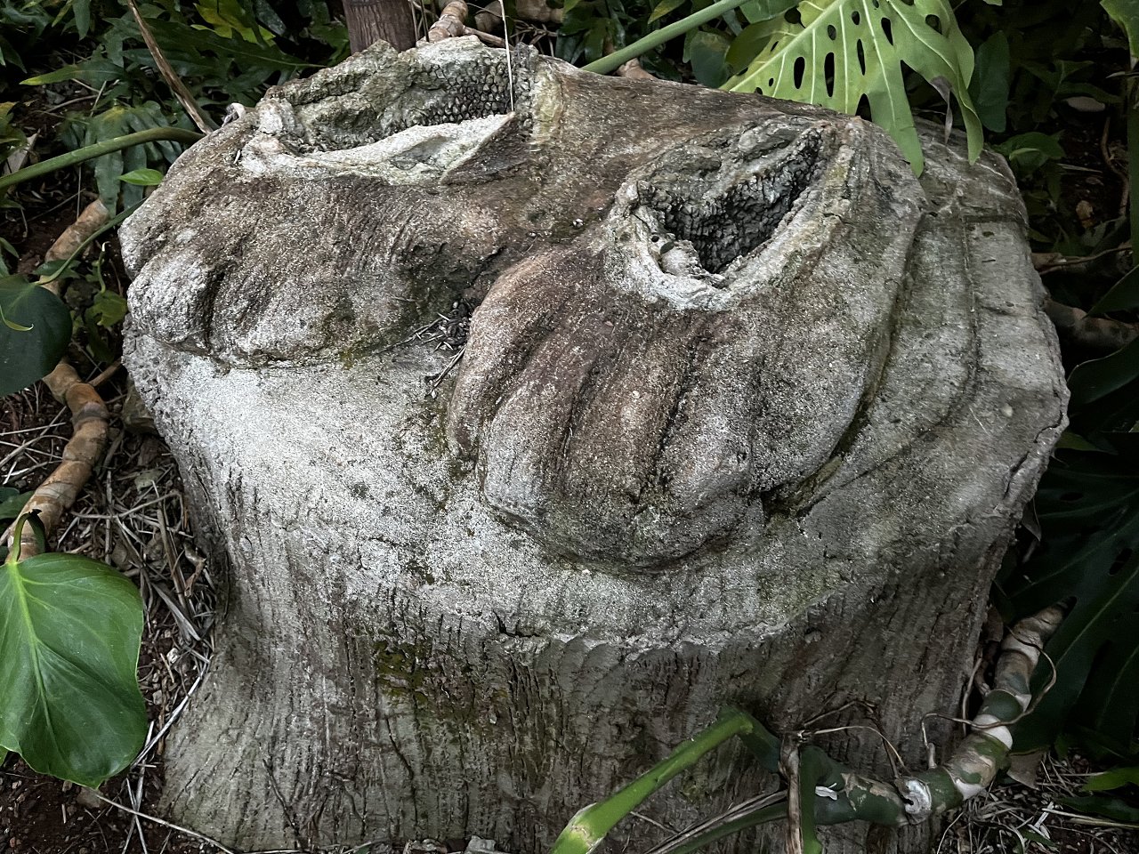 C811C9D3-C486-47F6-87DB-5A1970EA2376