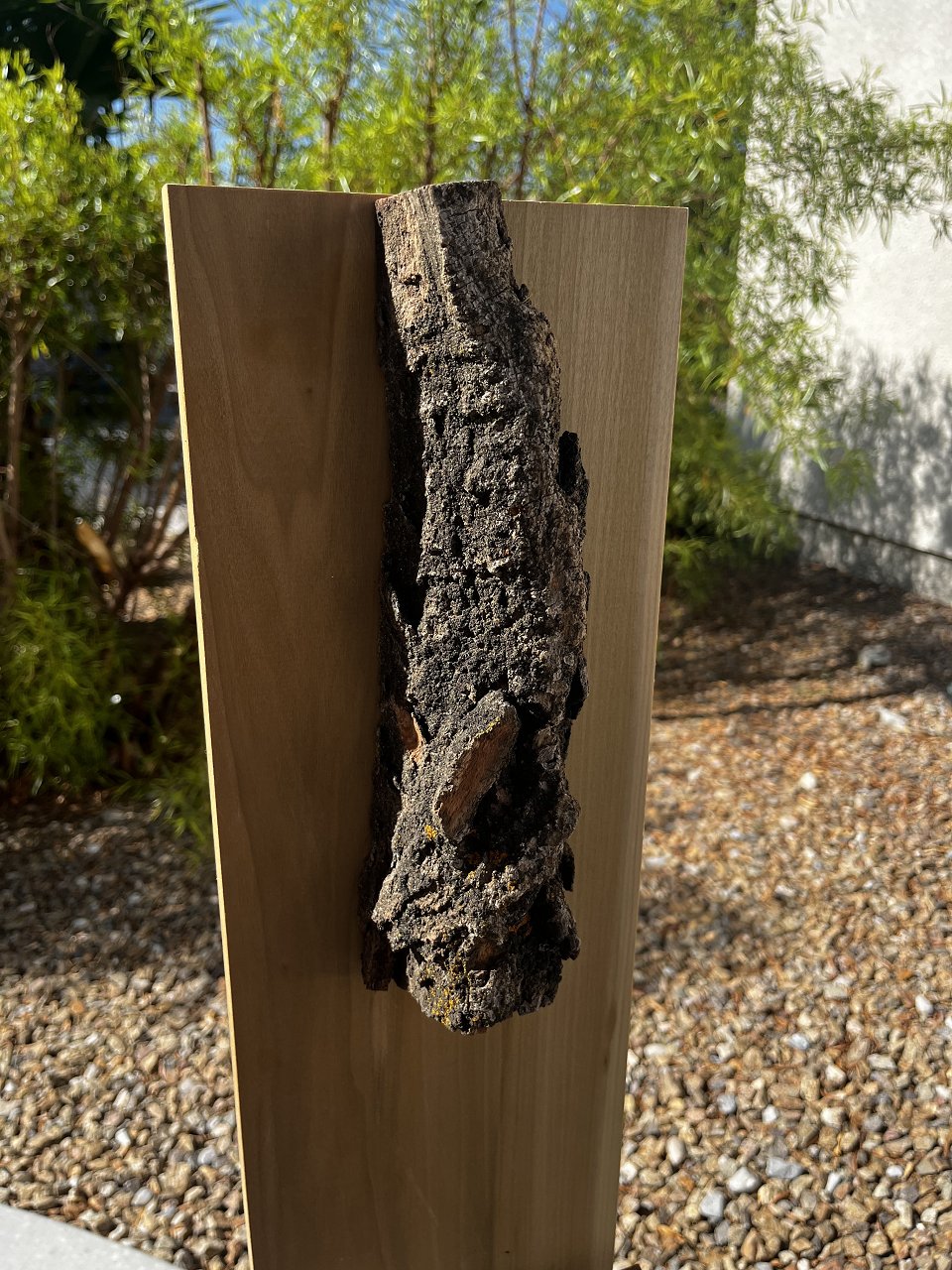 E6A664AC-EC7C-410F-B30F-69C7572EEB77