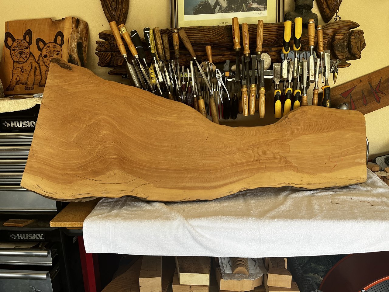 B152285B-D1A5-4CEC-9C8E-8BD530901050