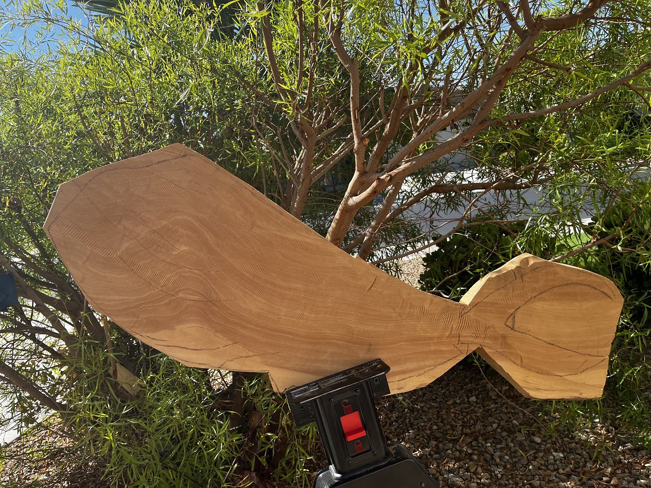 94E38B0B-6202-46DB-ADC1-D98C2D697EB0