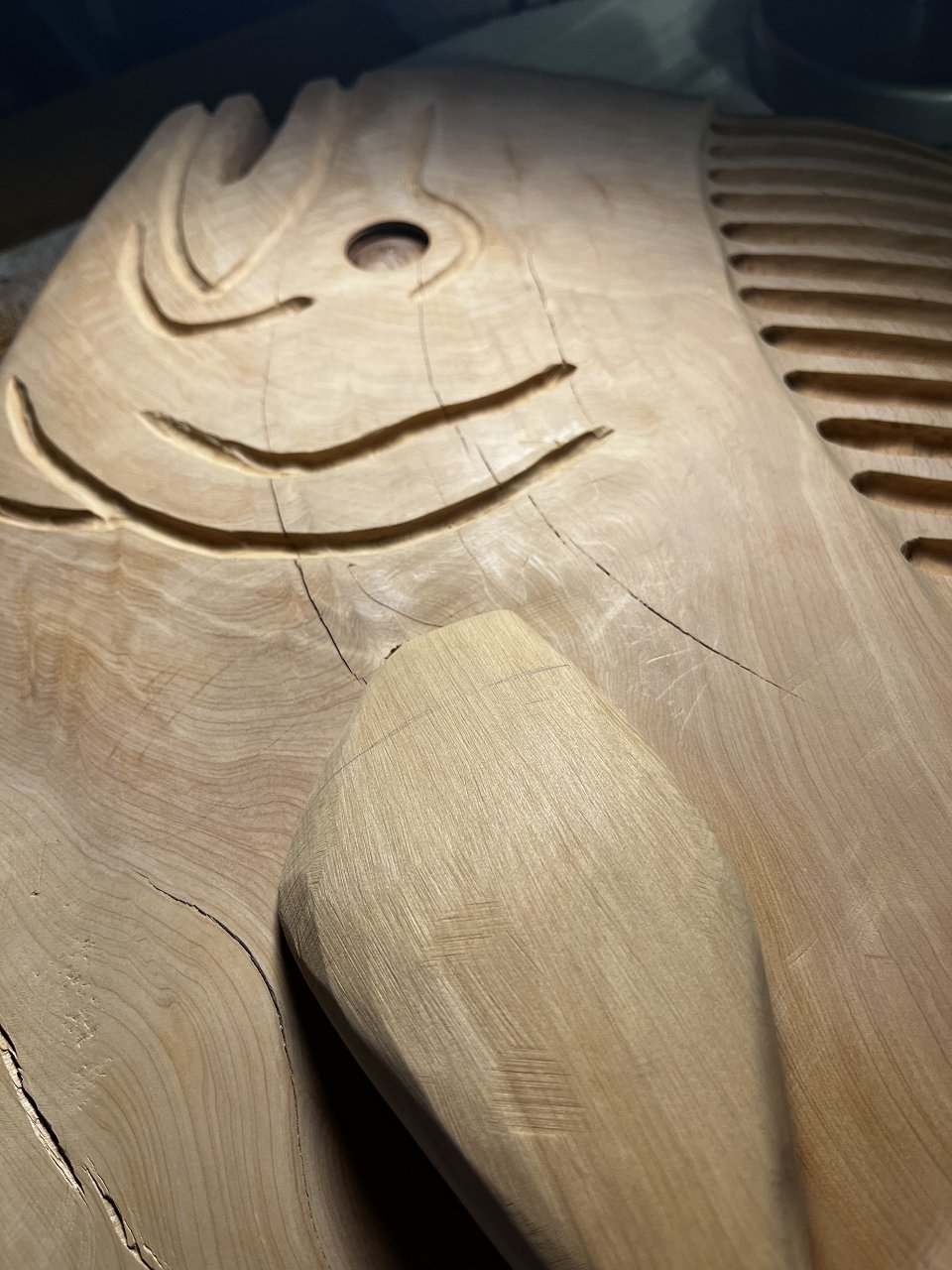 E59E5003-6ECA-4F04-9C3B-3ABE566F60CF