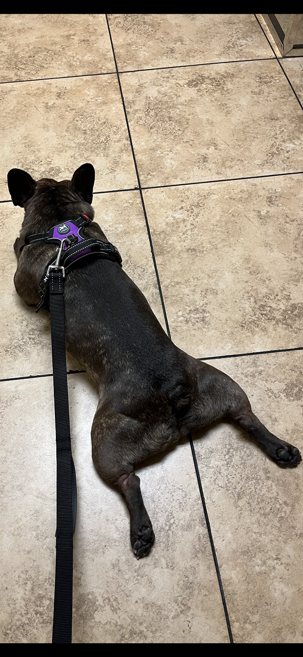 AEDC8E06-A924-4979-BB09-0FCC327B083E