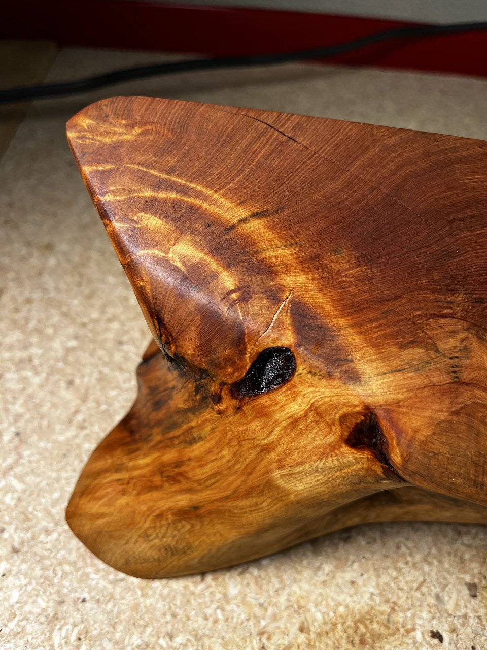 CFC02EC4-907A-4220-B277-20CDBDCB8776