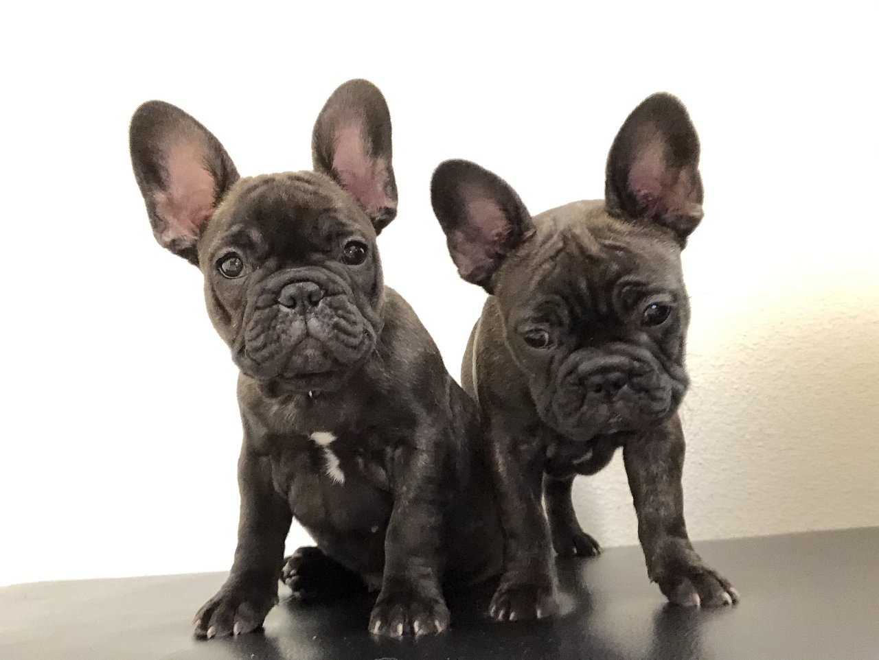 8754A7B9-CCEB-400D-9575-A5113A6583EC