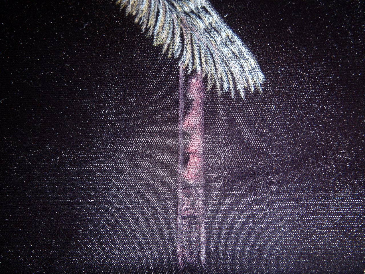 8 31 26 Tiki TnT (4)