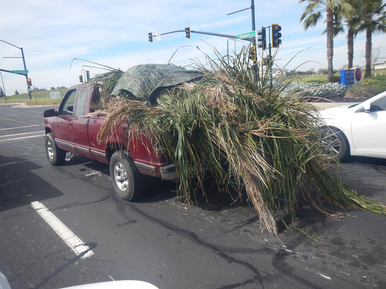 3 13 26 A Friday (11)