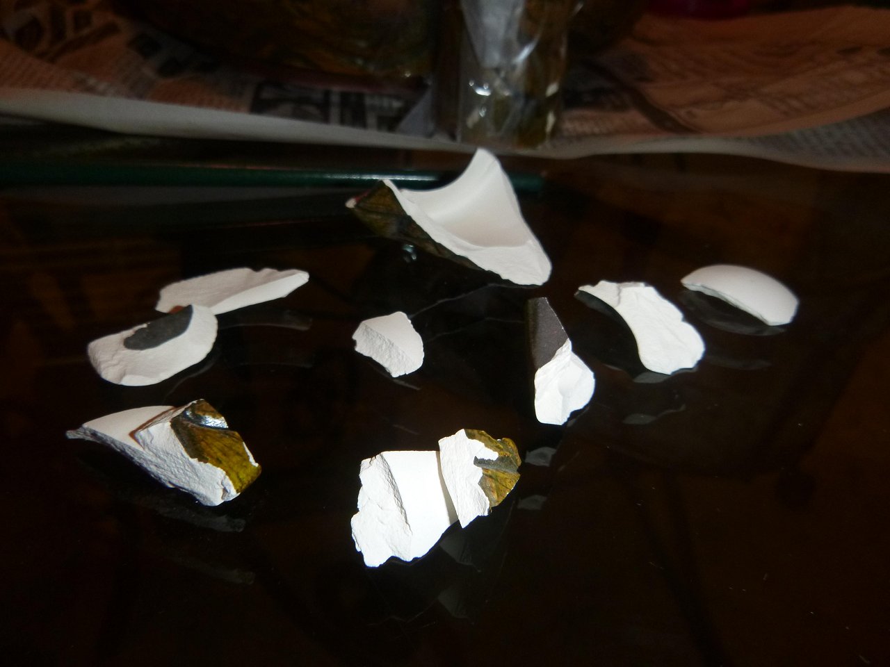 Repair tiki diablos Nichole Sellers(98)
