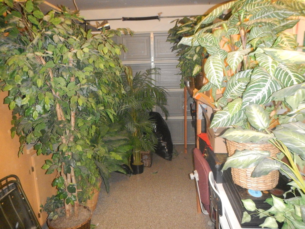 3 8 26 tiki room (36)