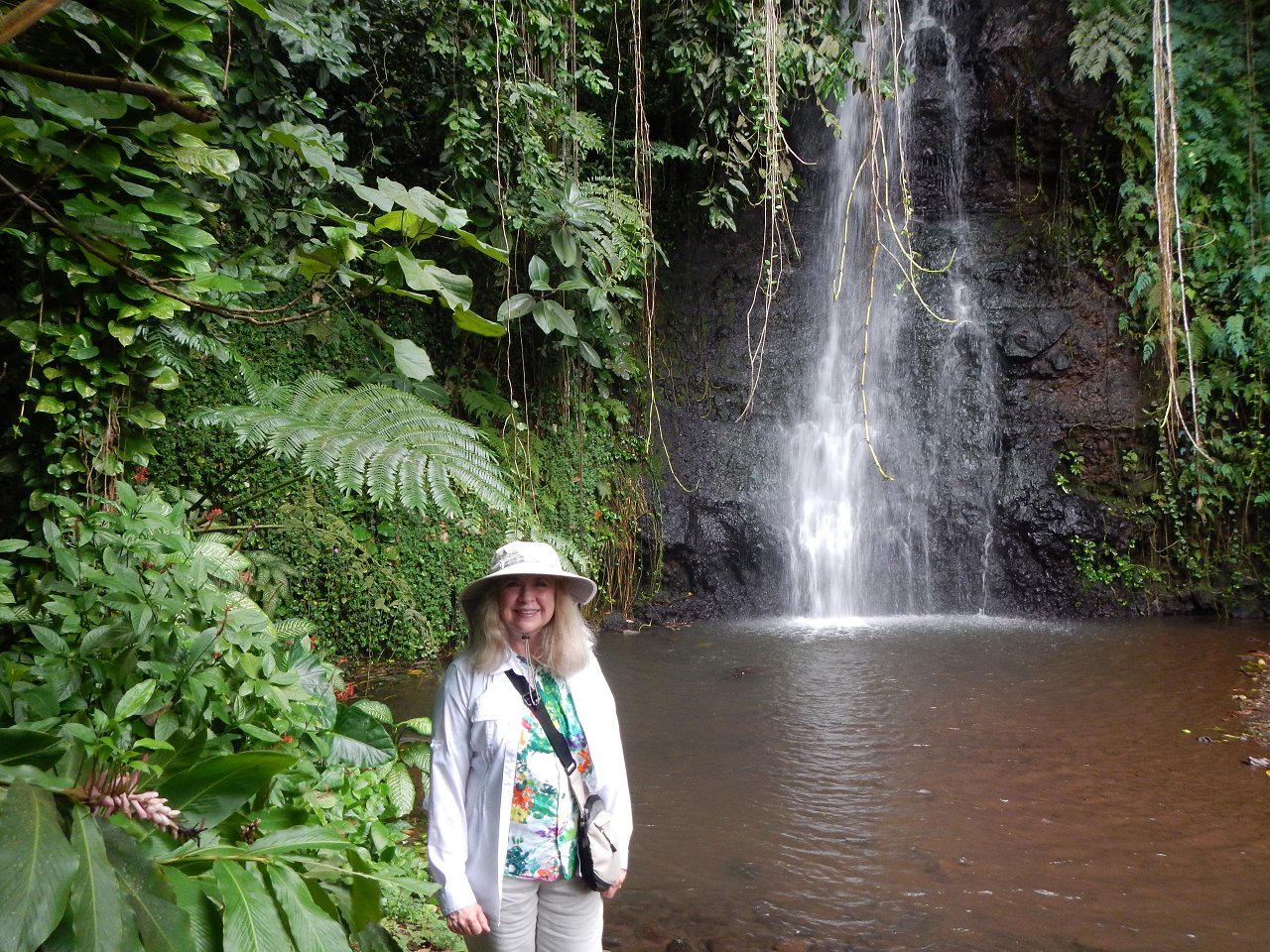 on TC fb 5 5 16 (26)