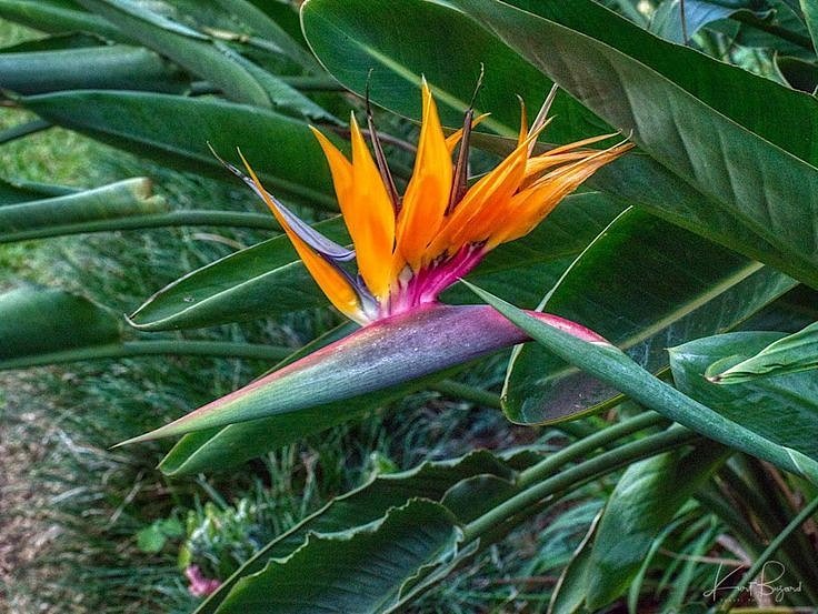 3d640ebaa452e3ea00ca25c26013f7f2