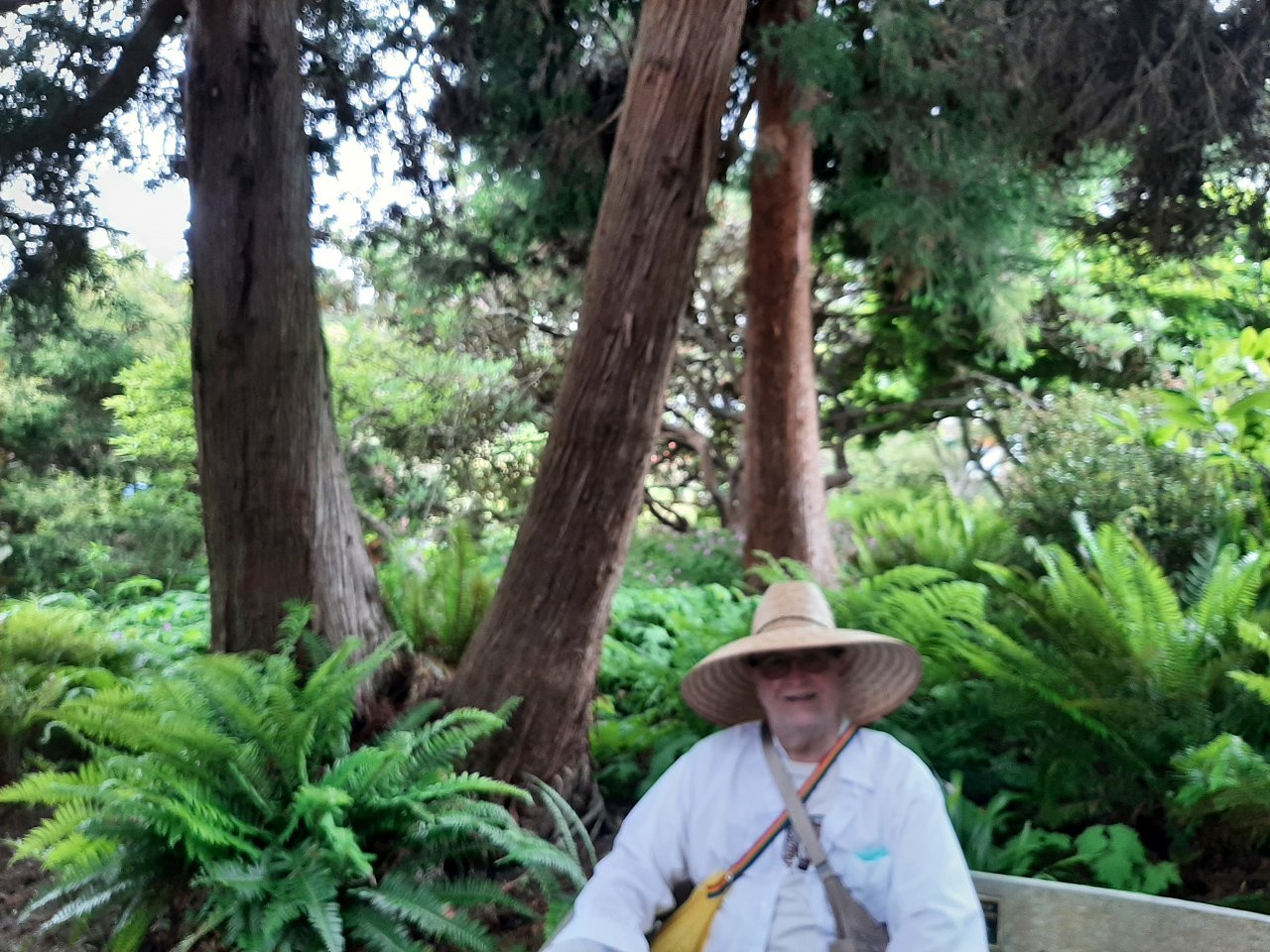 6 8 23 Fort Bragg and Mendocino 4 nights (139)