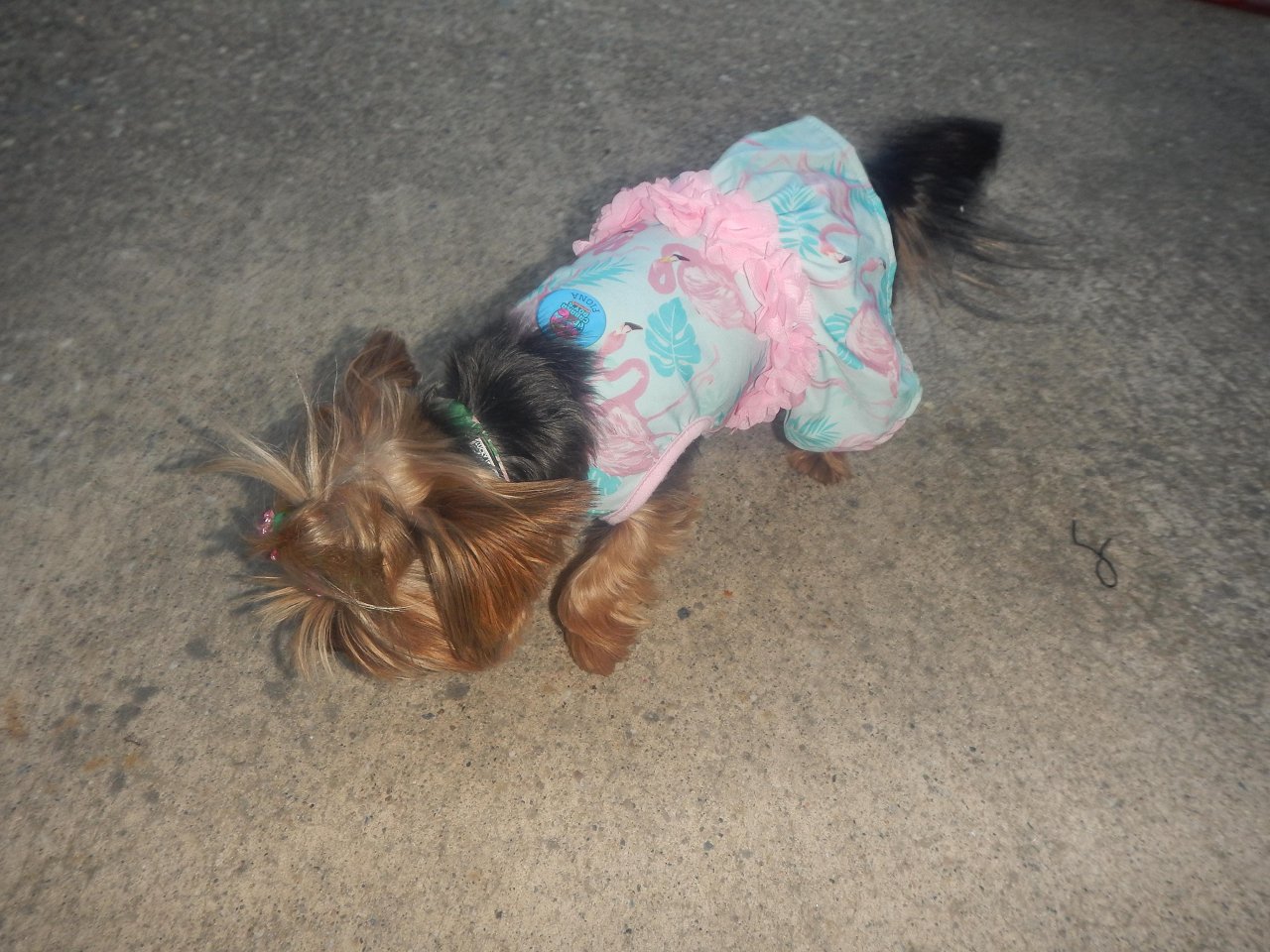 9 27 25 Sac Crawl (134)