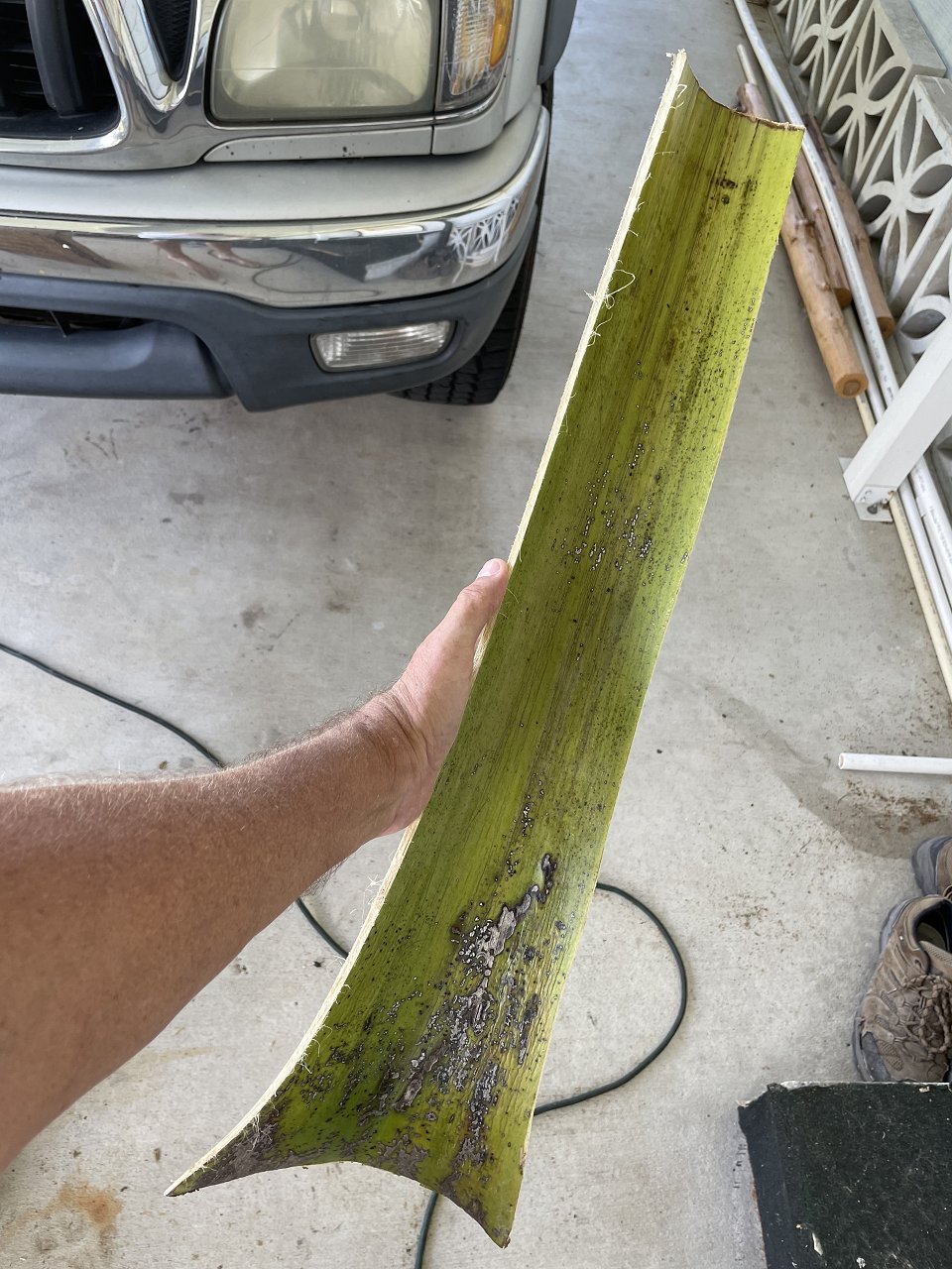 F5ECD113-4053-4A14-A09D-9EA9883157DC