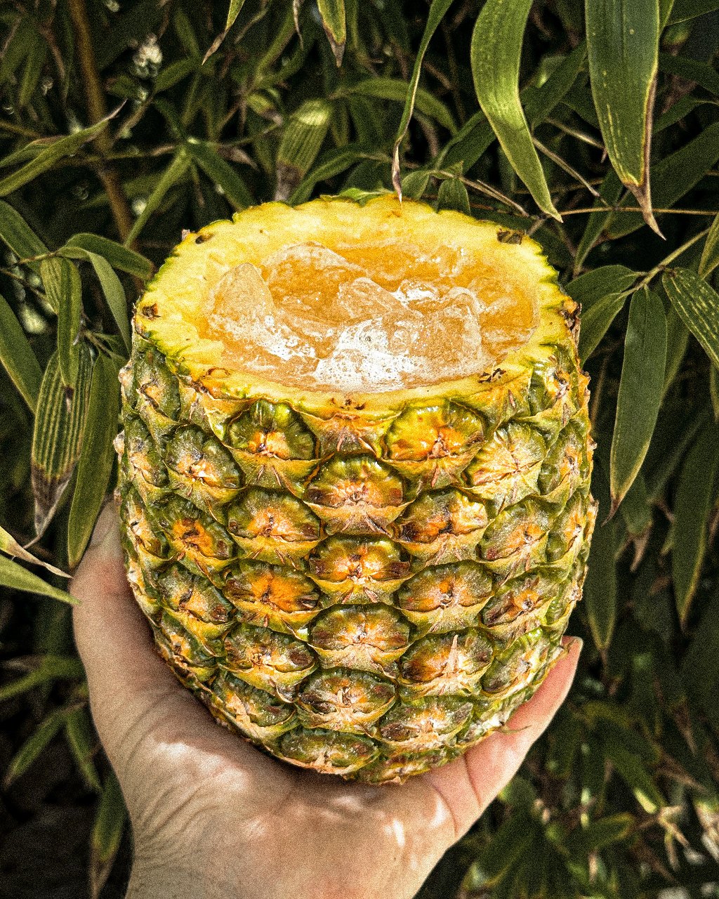 C9FB14C0-6D4B-477B-B6EF-83F87AAA3E54