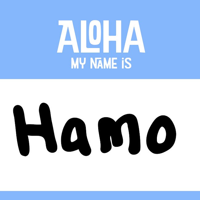 Aloha My Name Is Button icon