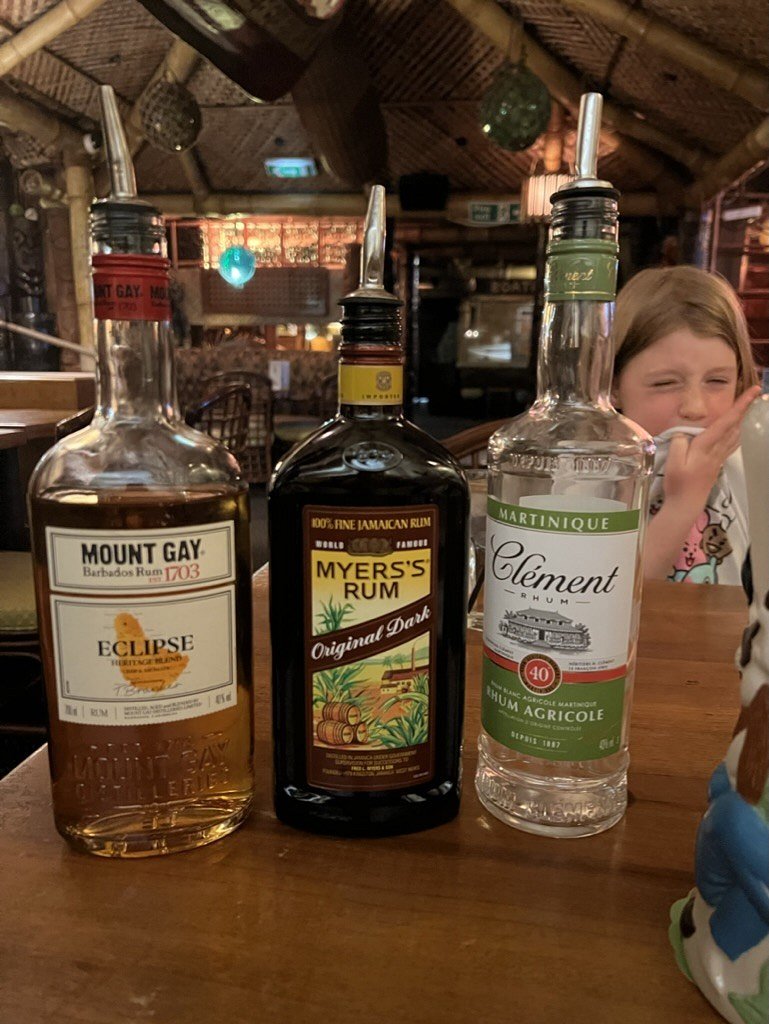 4E6AB150-1FCB-4F08-AFFE-891EA604D274_1_105_c