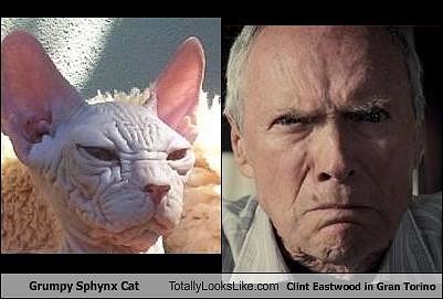 clint-eastwood-grumpy-movies-2657082368