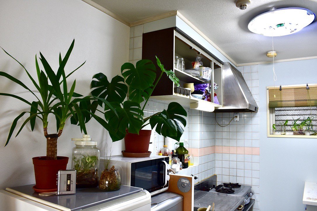 9AFA03C5-35CD-49A9-8374-3C46EC2153B4_1_105_c