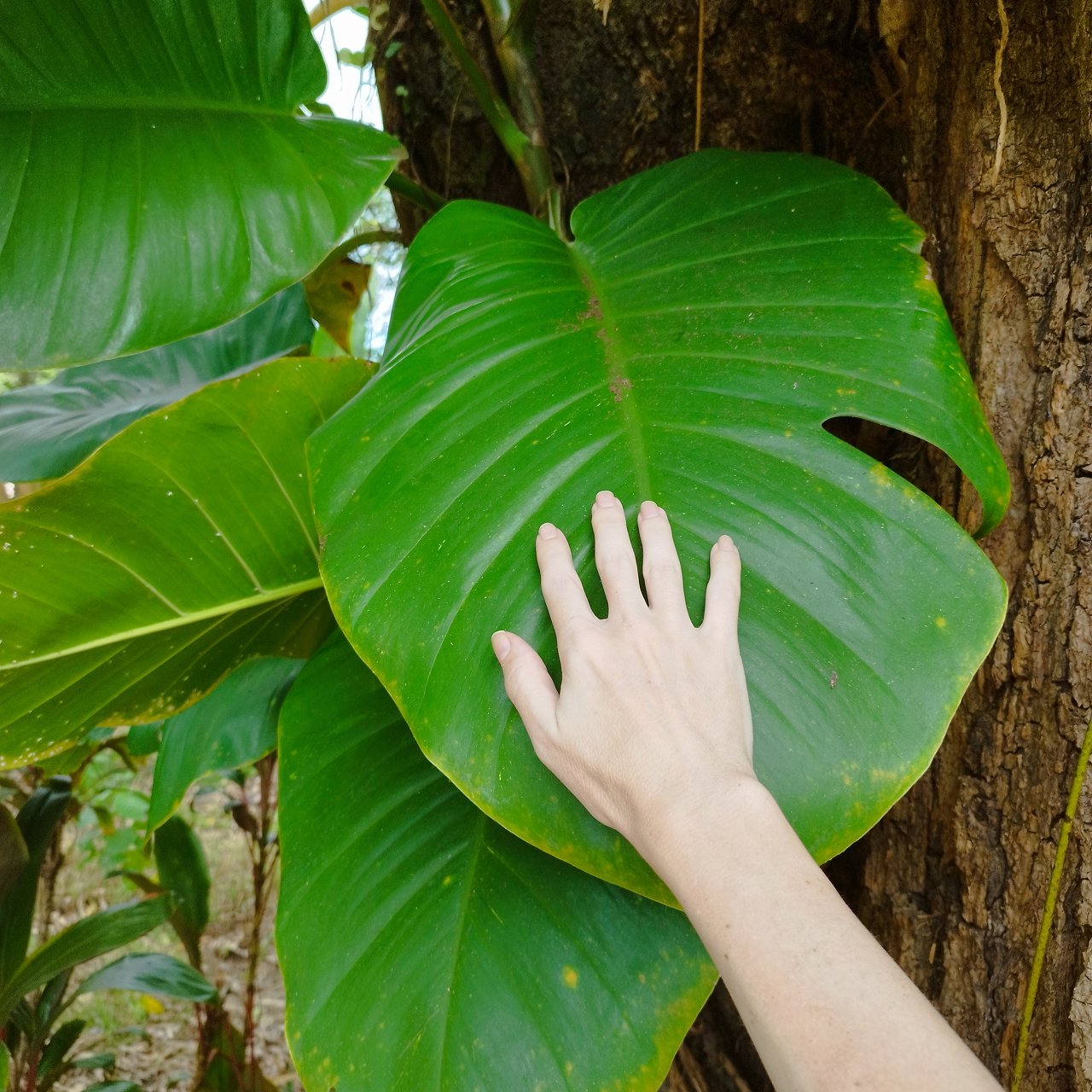 IMG_20230314_151138_1