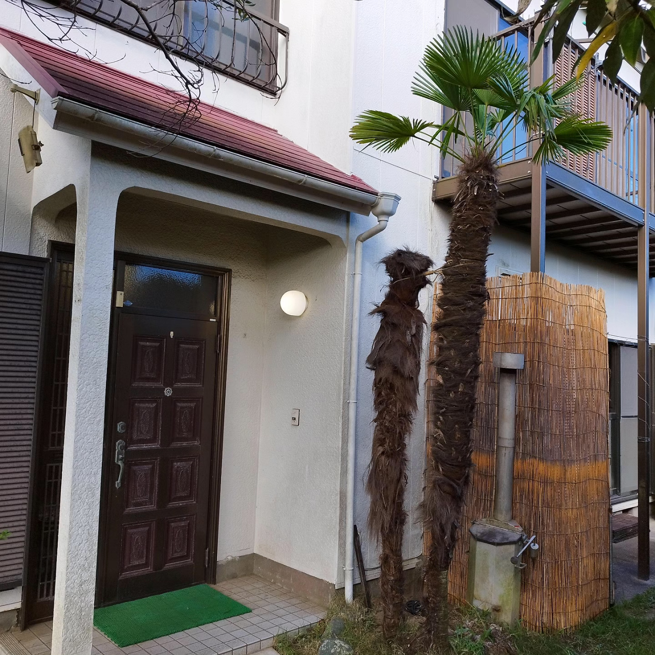 IMG_20230808_163204_260