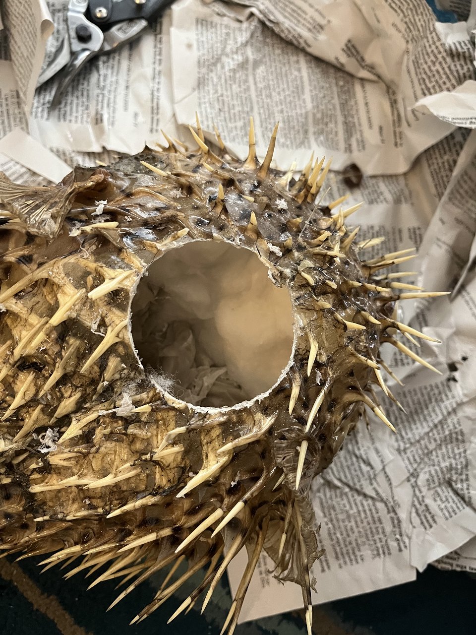 9EF93485-9DD2-4975-8CB1-25BEA73F822A