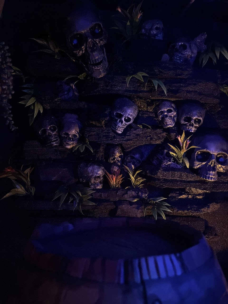 5F40DB55-55F9-46B6-823B-3866B0BDF418