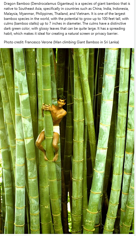 Snap_2023.01.31_11h42m01s_002