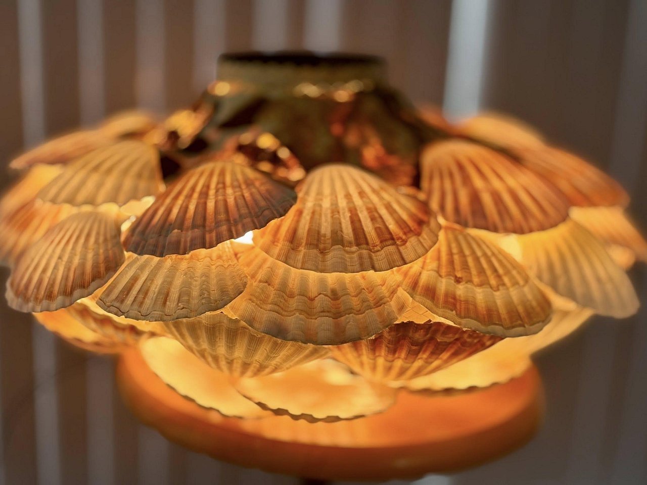 534997590_10225498780811128_4452093031739541843_n