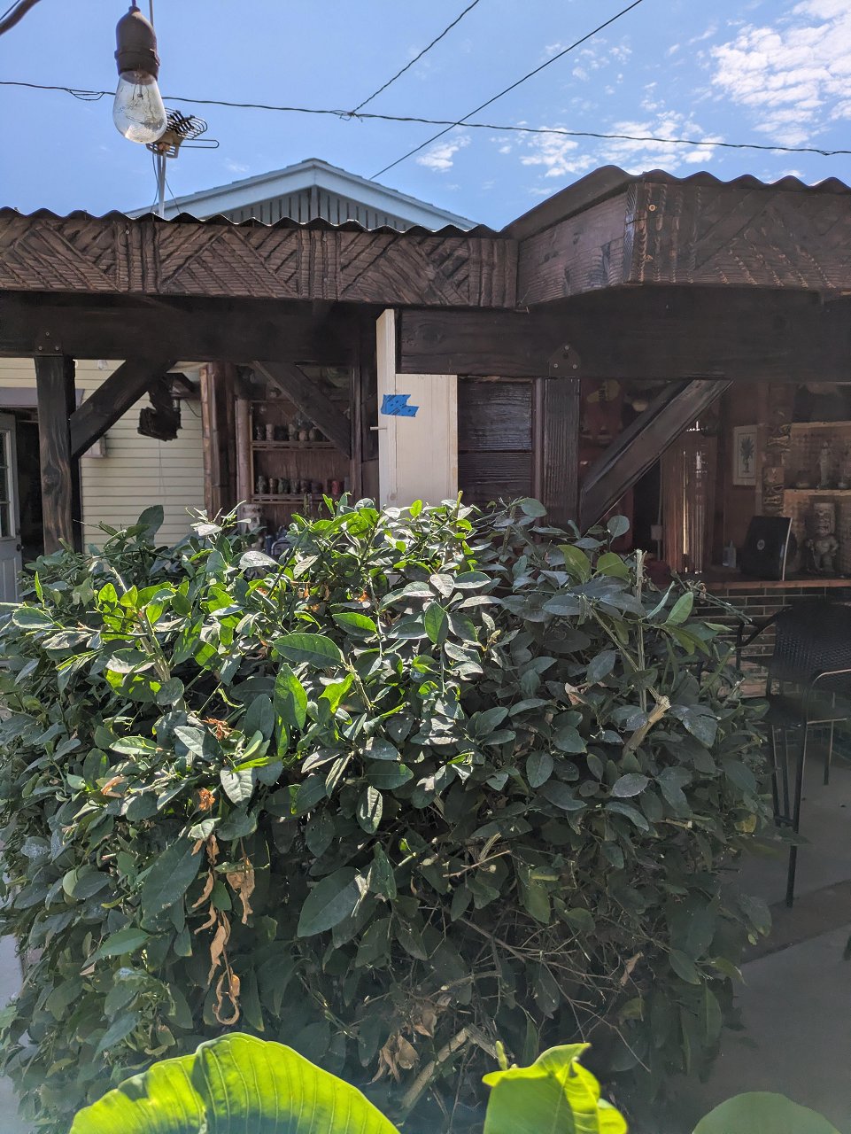 PXL_20260815_173005183.MP