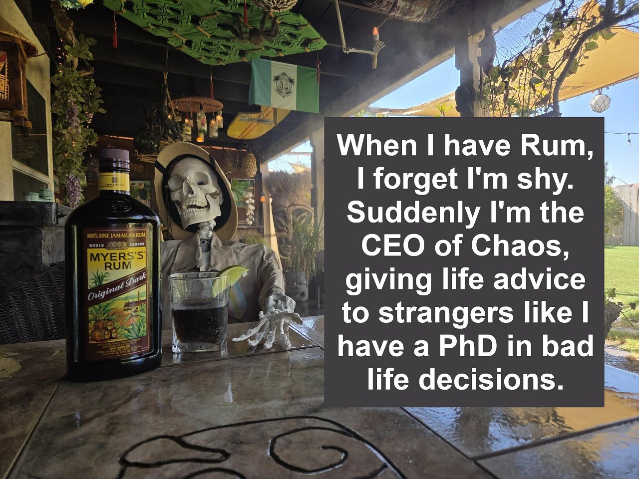 CEO of Chaos - Mimo