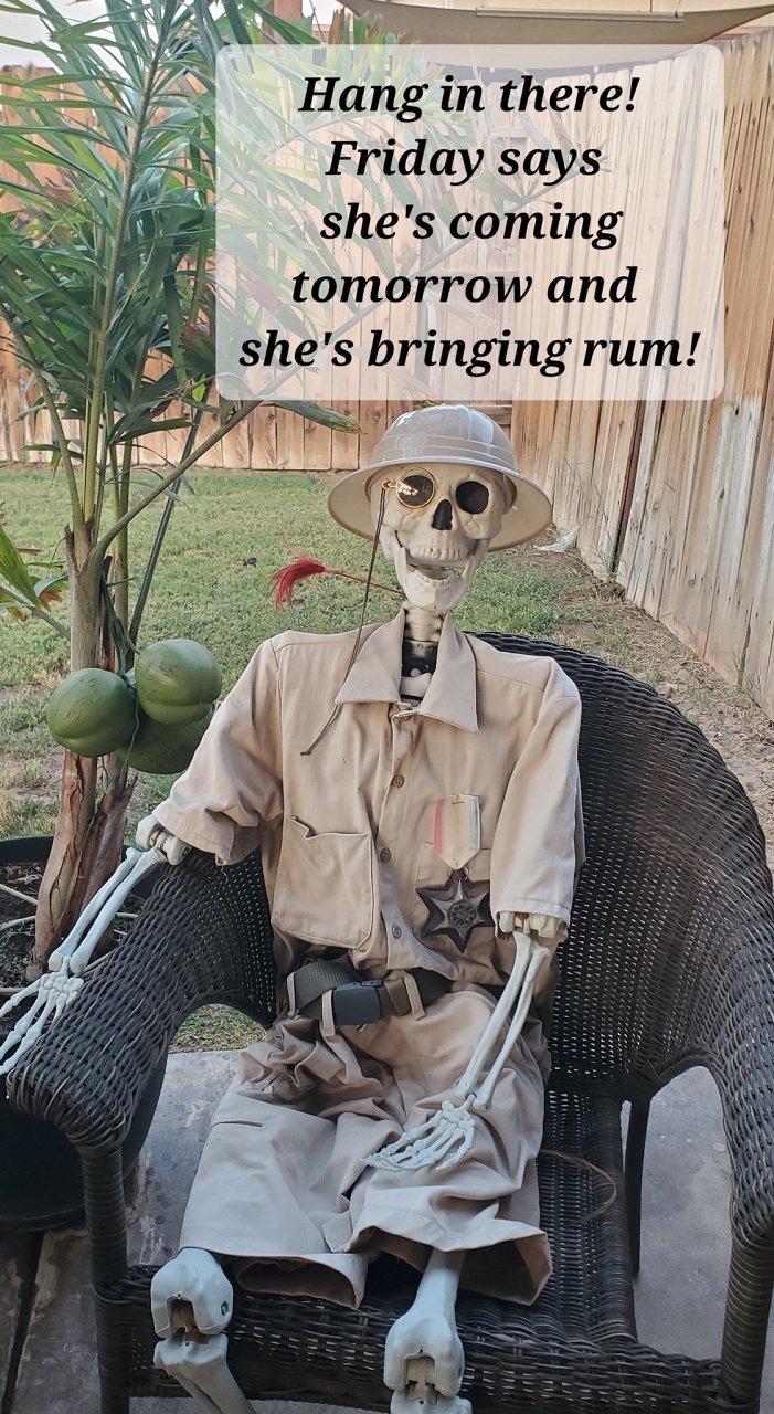 Thursday - Jimmy Zegers