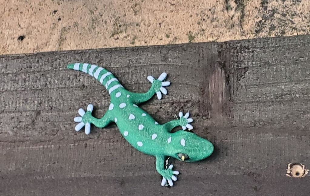 464761280_1001077355156120_6773077736605783806_n