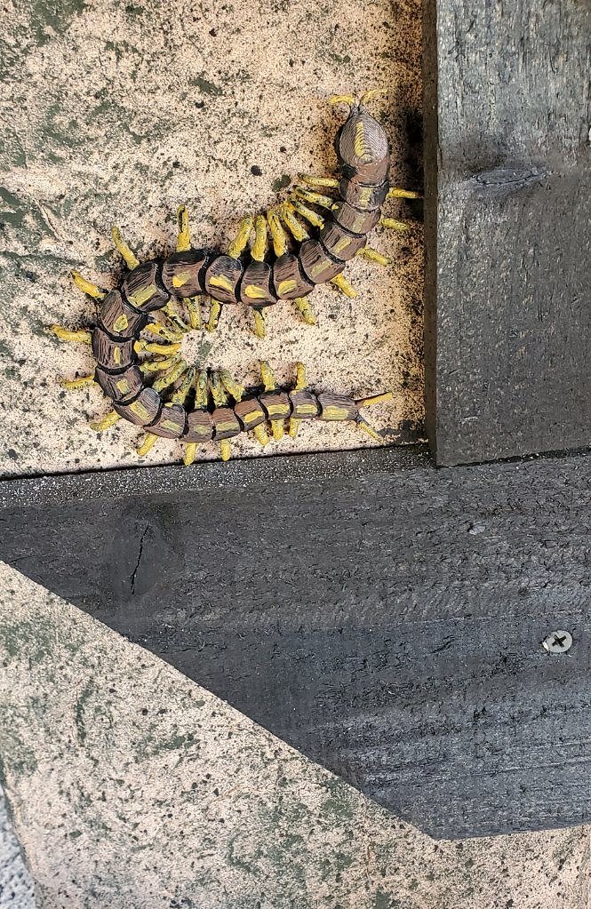 464617161_1001077385156117_4417535163947792695_n