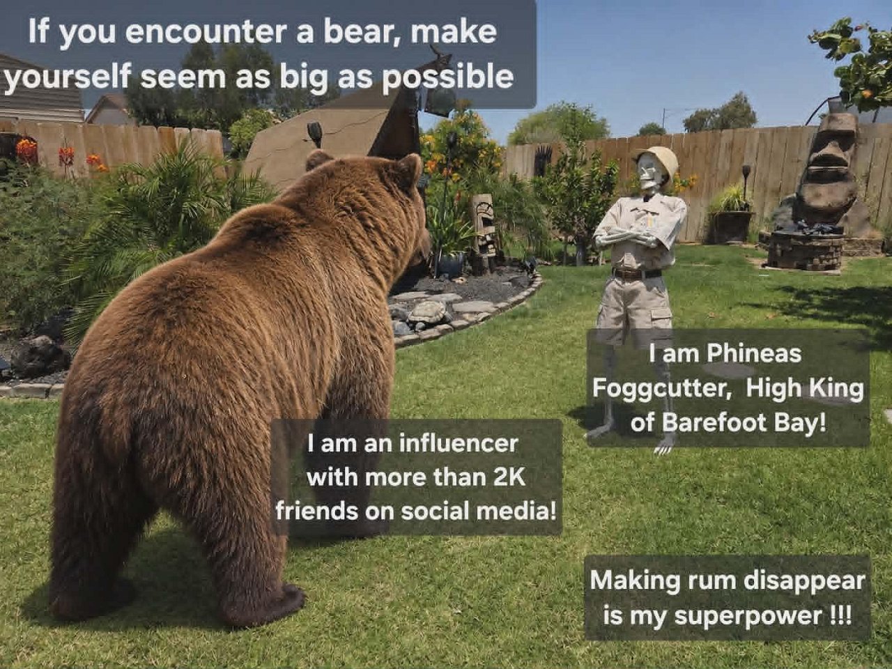 Bear